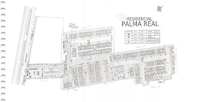 Etapas del Proyecto Palma Real